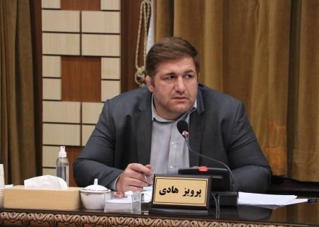 تعلیق پرویز هادی غیرقانونی است