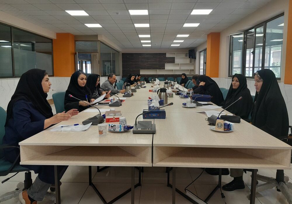 نتایج طرح‌های تحقیقاتی با محوریت جوانی جمعیت اعلام شد