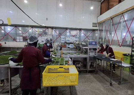 بررسی مشکلات ۱۰ واحد صنعتی آذربایجان‌ شرقی در کارگروه ستاد تسهیل و رفع موانع تولید