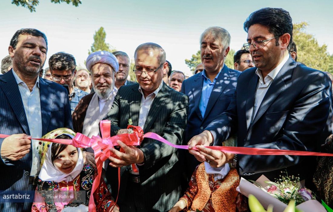 یک جشنواره، صد ناگفته؛ هم آوایی برای احیای بادامزارهای تاریخی خسروشاه
