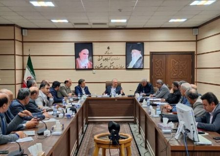 تمرکز ما بر نظارت مستمر بر بازار و حمایت از مردم است