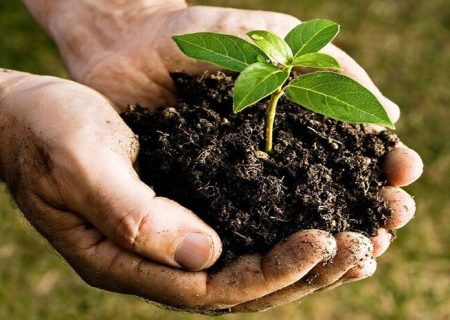 خاک‌های شهری زیر فشار شهرنشینی