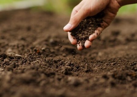 حفاظت از خاک حاصلخیز، ضرورتی راهبردی برای امنیت غذایی کشور است