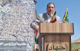 رتبه سوم آذربایجان شرقی در سطح زیرکشت گردو