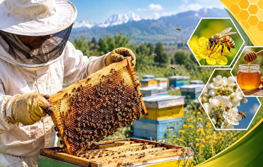 سرشماری زنبورستان‌های آذربایجان‌شرقی از ۲ آبان آغاز می‌شود