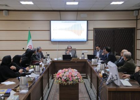 معاون استاندار آذربایجان شرقی: دولت الکترونیک باید توسعه پیدا کند