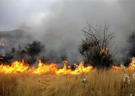 آتش‌سوزی در منطقه حفاظت‌شده دیزمار آذربایجان شرقی