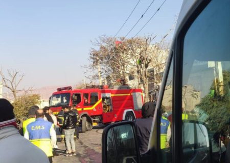 فوت کارگر هنگام هرس درختان در تبریز