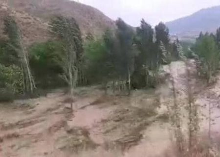 خسارت سیلاب ییلاقات کلیبر به ۶۰ رأس احشام/ آتش سوزی مراتع روستای تازه‌کند کلیبر
