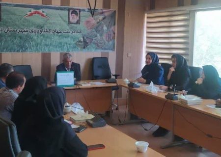 تبریز در مسیر توسعه کشت کلزا؛ ۲ هزار هکتار سطح مجاز کشت اعلام شد