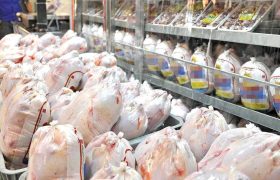خرید حمایتی ۳۰ هزار تن مرغ تولید داخل آغاز شد؛ سهم آذربایجان‌شرقی ۱۰۱۱ تن