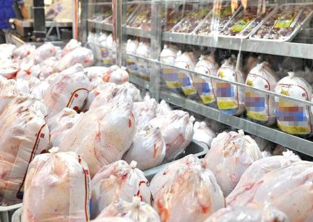 خرید حمایتی ۳۰ هزار تن مرغ تولید داخل آغاز شد؛ سهم آذربایجان‌شرقی ۱۰۱۱ تن